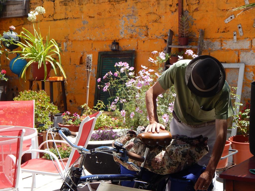 Street Garden Hostel ビニャ・デル・マール エクステリア 写真