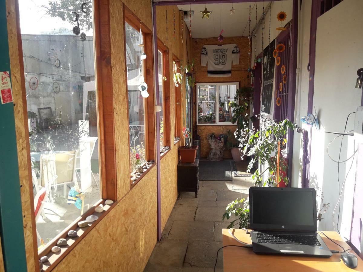 Street Garden Hostel ビニャ・デル・マール エクステリア 写真