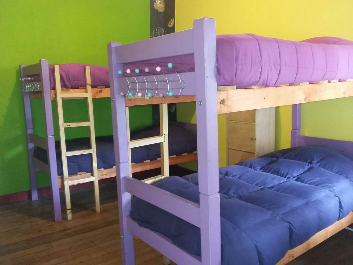 Street Garden Hostel ビニャ・デル・マール エクステリア 写真